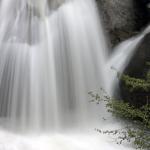 Cascading creek falls in California's Yosemite National Park
