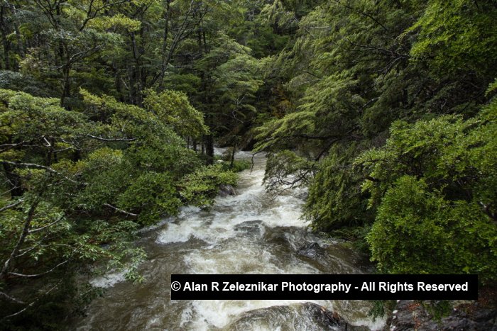 Rain-swollen stream near Mt Creighton, New Zealand