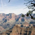 _MG_6120_Grand_Canyon_with_Branches_72_dpi