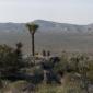 _MG_6536-6546_Joshua_Tree_Pleasant_Valley_Panorama_2_72_dpi_900x187