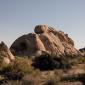 _MG_6600_JTNP_Full_Moon_2_72_dpi_900x600