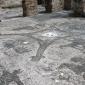 Italy Ostia Antica Bath Floor Mosaic 1