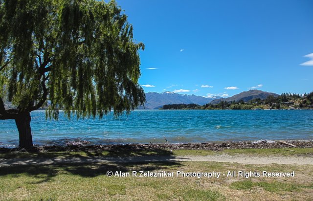The shore of Lake Wanaka
