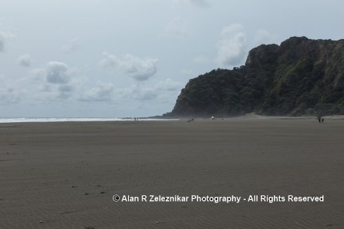 Windswept Kare Kare Beach near Auckland, New Zealand