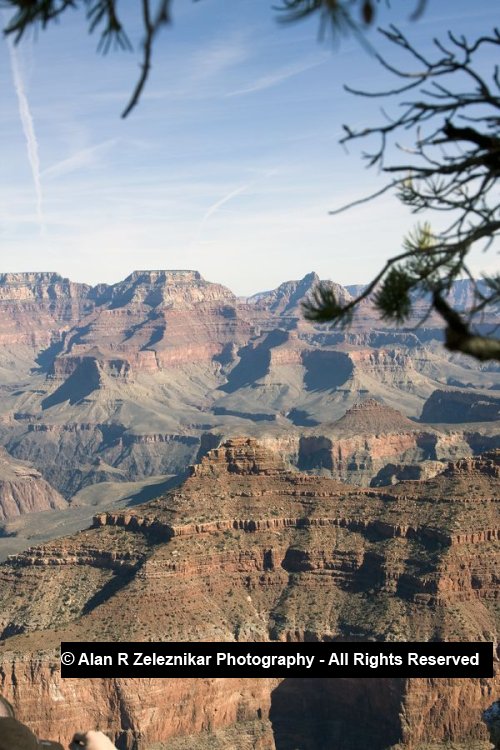 _MG_6120_Grand_Canyon_with_Branches_72_dpi