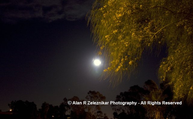 Full Moon and Tree at Mira Costa College in Oceanside California