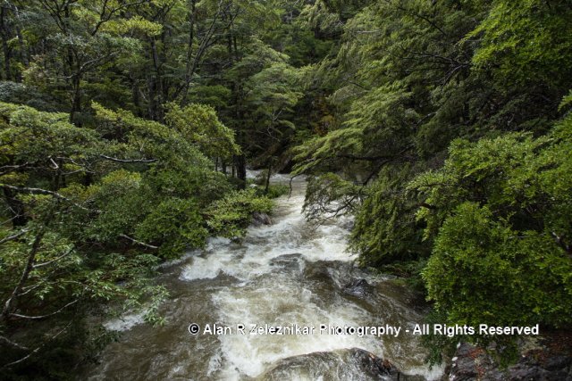 Rain-swollen stream near Mt Creighton, New Zealand